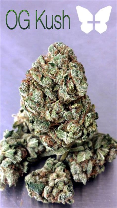Aghan OG, also known as “ Afghan Kush ,” is a 100% pure indica strain native to the Hindu Kush mountain range in Afghanistan. With a potent 21% average THC level and CBD level that hits about 6% on average, Afghan OG is one highly medicinal strain that doesn't skimp on the effects either! You'll feel the Afghan OG high first in the front of ...